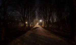 Aleja drzew nocą, oświetlona latarniami. Ciemność i długie cienie tworzą atmosferę kurzej ślepoty, jakby światło ledwo przebijało się przez gęstwinę.