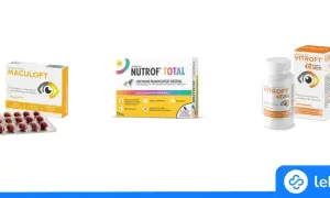 Jaka witamina na wzrok? Odkryj klucz do zdrowych oczu!