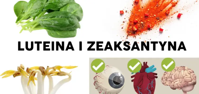 Jarmuż, szpinag i kukurydza - źródła luteiny